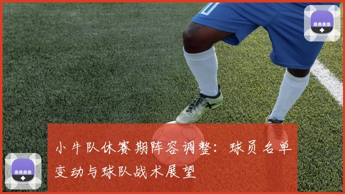 小牛队休赛期阵容调整：球员名单变动与球队战术展望