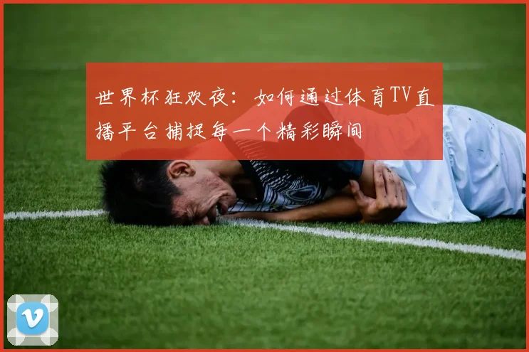 世界杯狂欢夜：如何通过体育TV直播平台捕捉每一个精彩瞬间