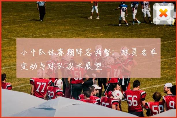 小牛队休赛期阵容调整：球员名单变动与球队战术展望