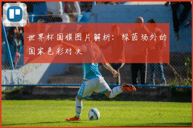 世界杯国旗图片解析：绿茵场外的国家色彩对决