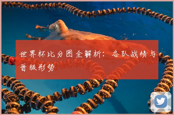 世界杯比分图全解析：各队战绩与晋级形势