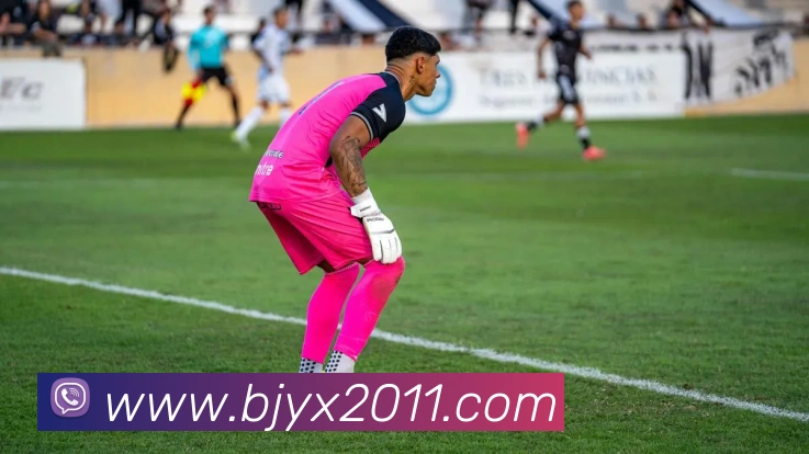 开云app官方入口网页版品牌故事