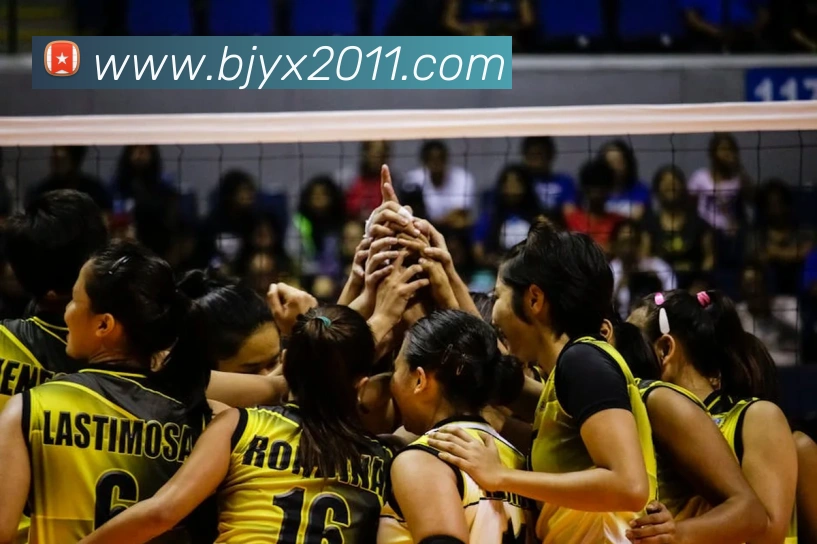 开云app官方入口网页版服务体系